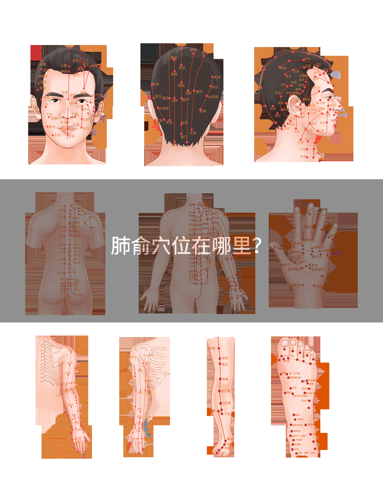 肺俞穴位在哪里？