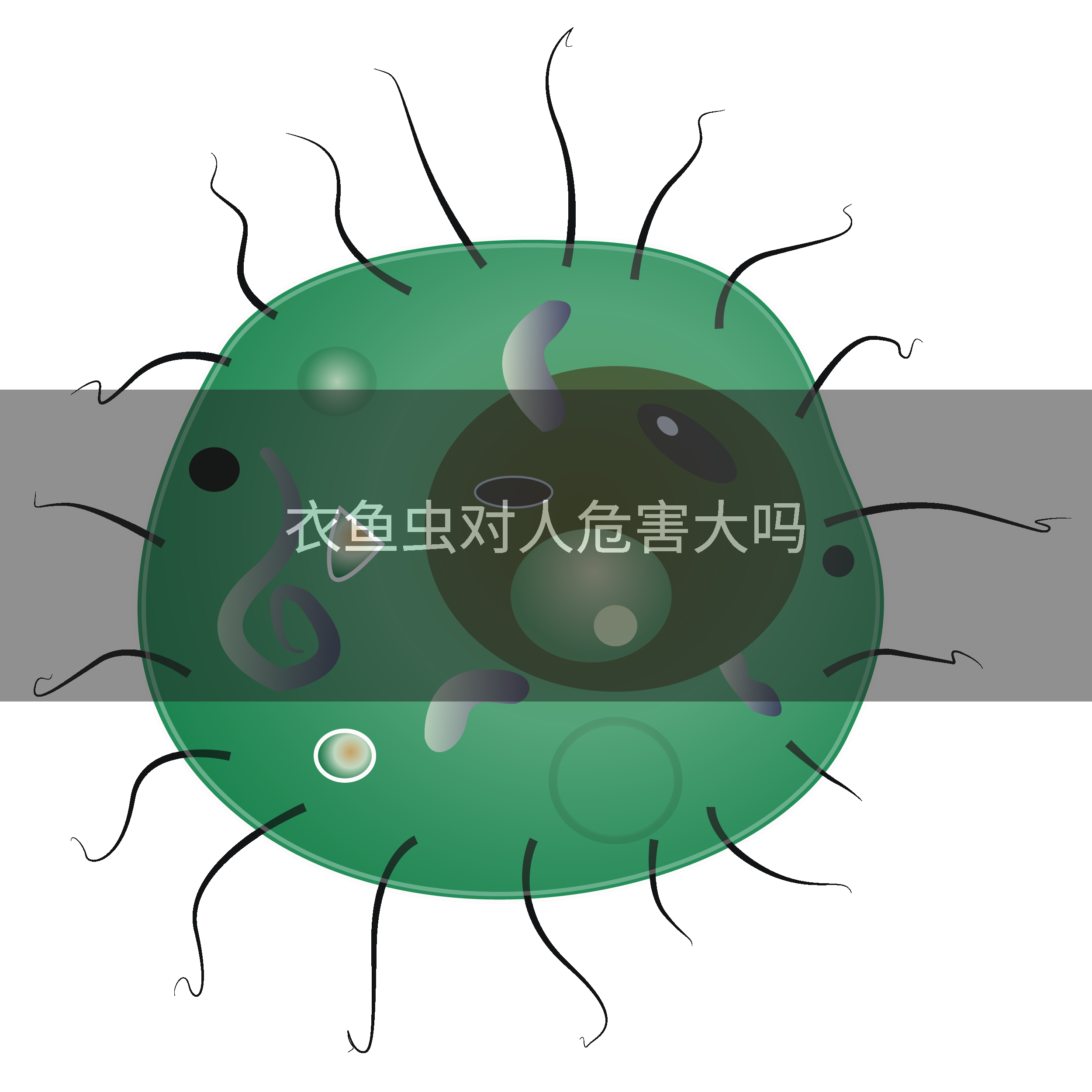 衣鱼虫对人危害大吗