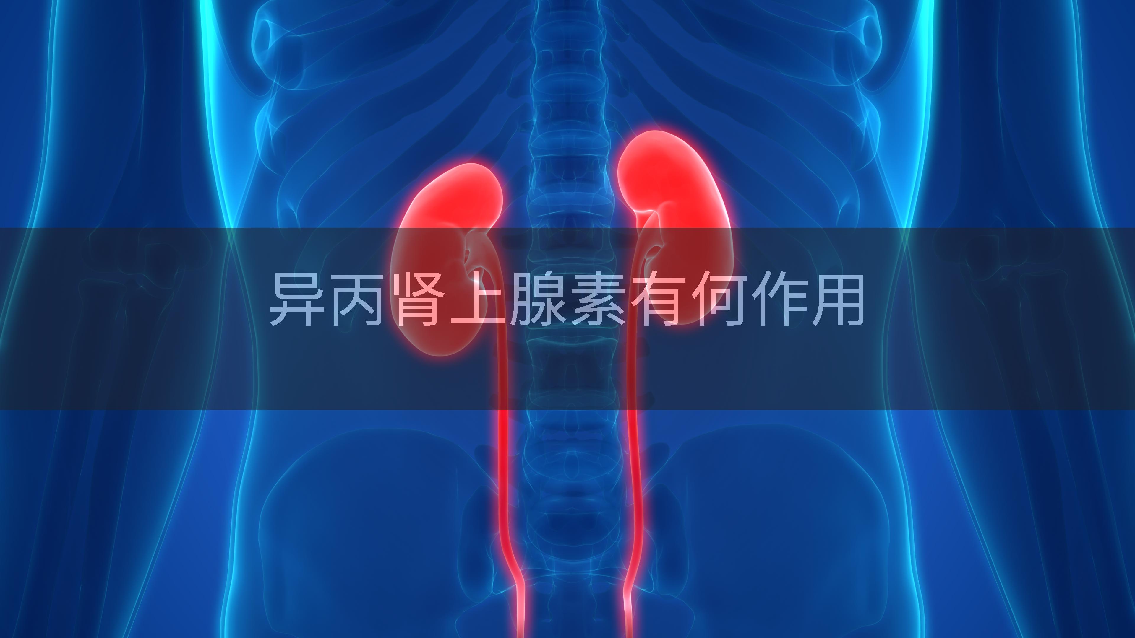 异丙肾上腺素有何作用