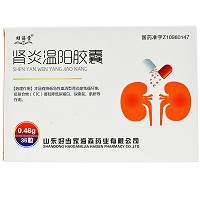 肾炎温阳胶囊