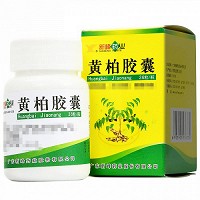 黄柏胶囊