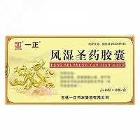 风湿圣药胶囊