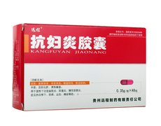 抗妇炎胶囊