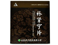 补肾宁片