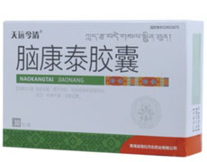 脑康泰片