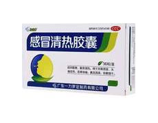 感冒清热胶囊