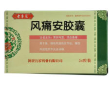 风痛安胶囊