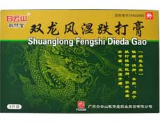 双龙风湿跌打膏