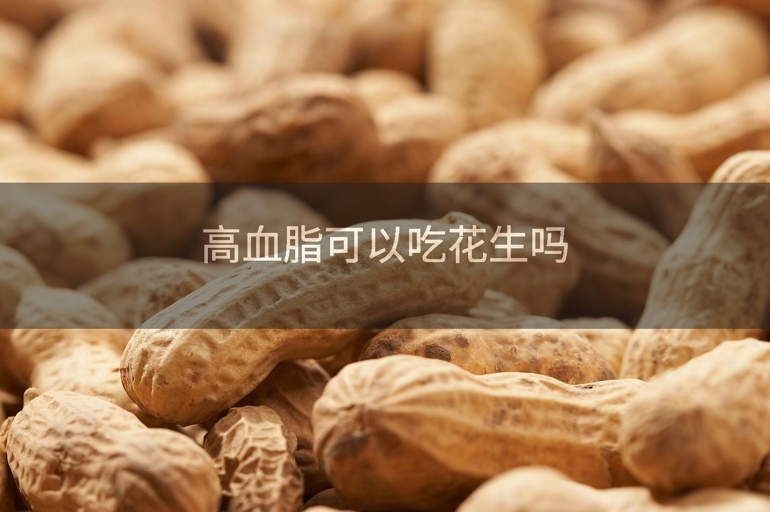 高血脂可以吃花生吗