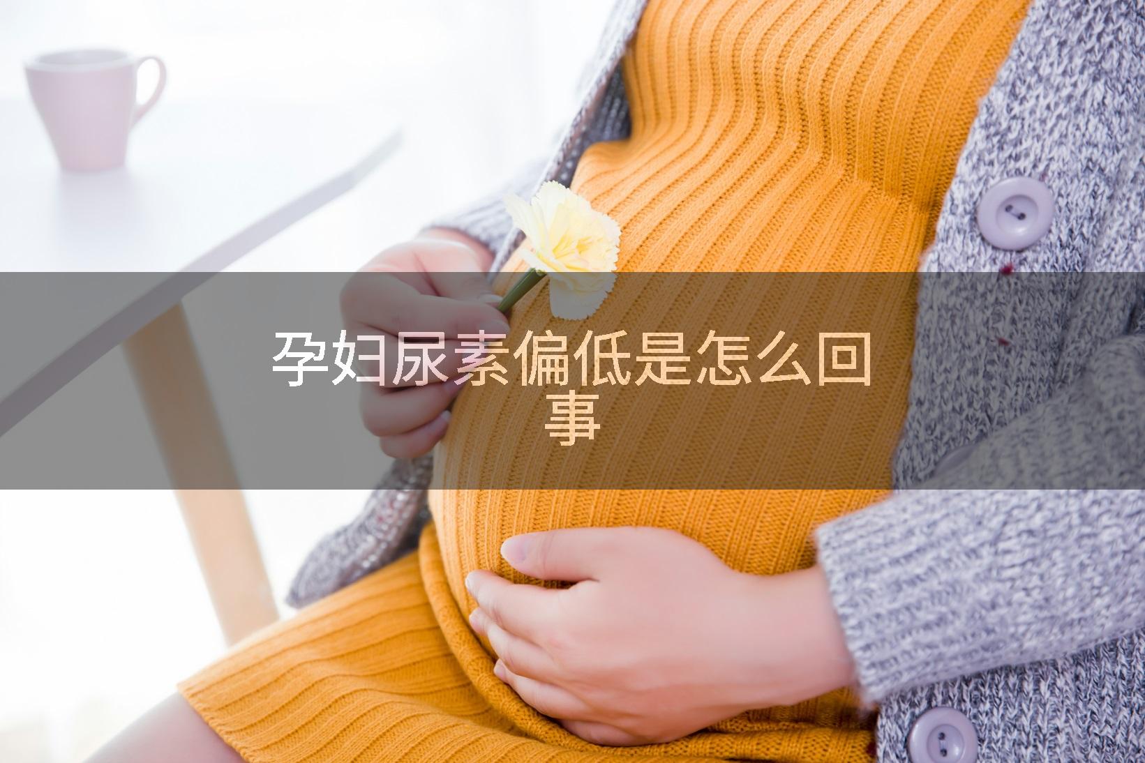 孕妇尿素偏低是怎么回事