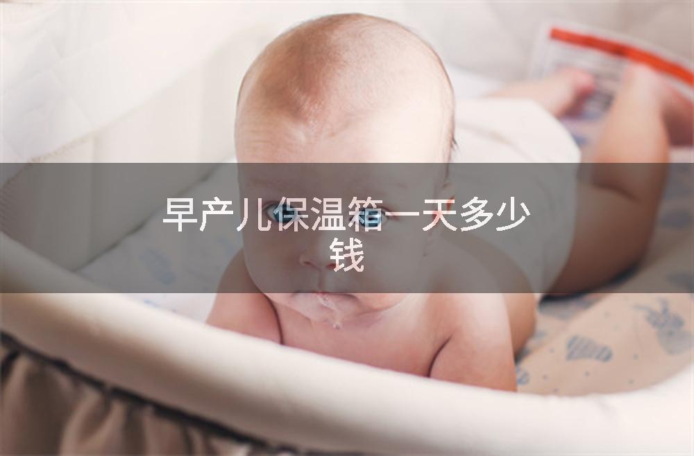早产儿保温箱一天多少钱