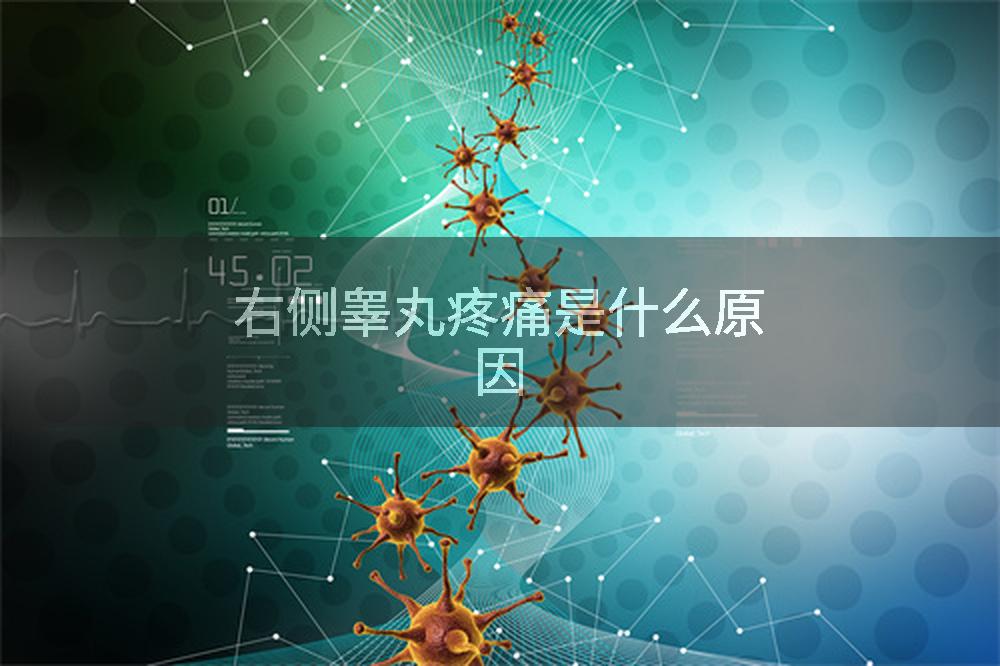右侧睾丸疼痛是什么原因