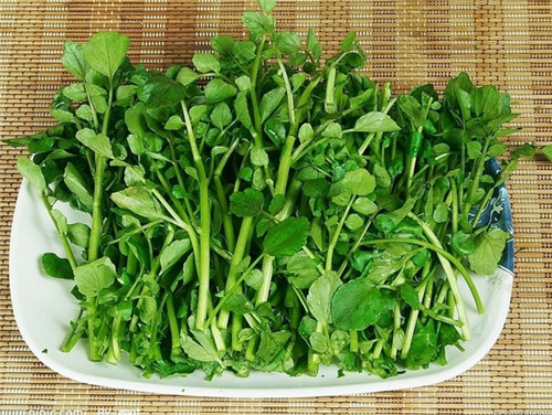 怀孕可以吃豆瓣菜吗