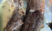 黄花鱼罐头（压力锅版）的做法