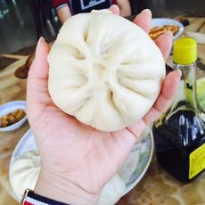 一群神奇的肉包子