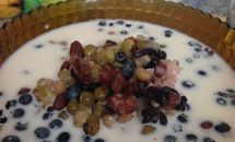 夏日特饮--绿豆奶沙（剩粥版）的做法