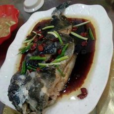 海参斑鱼