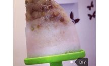 绿豆荔枝冰棍的做法