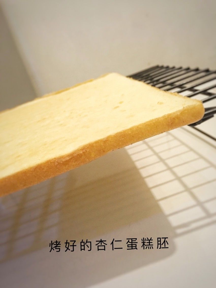 歌剧院基础杏仁海绵蛋糕胚（joconde）