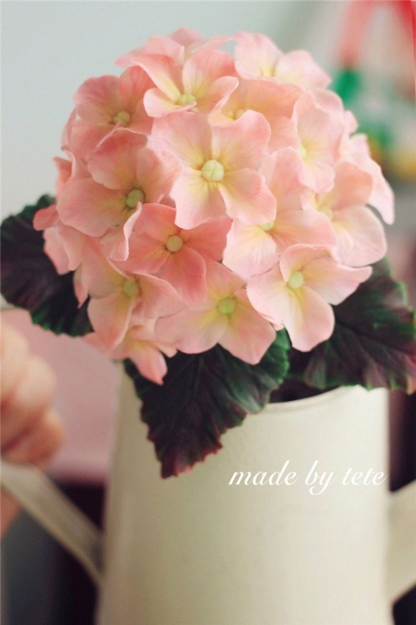 我的糖花作品---绣球花