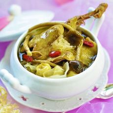 白莲茶树菇乳鸽汤