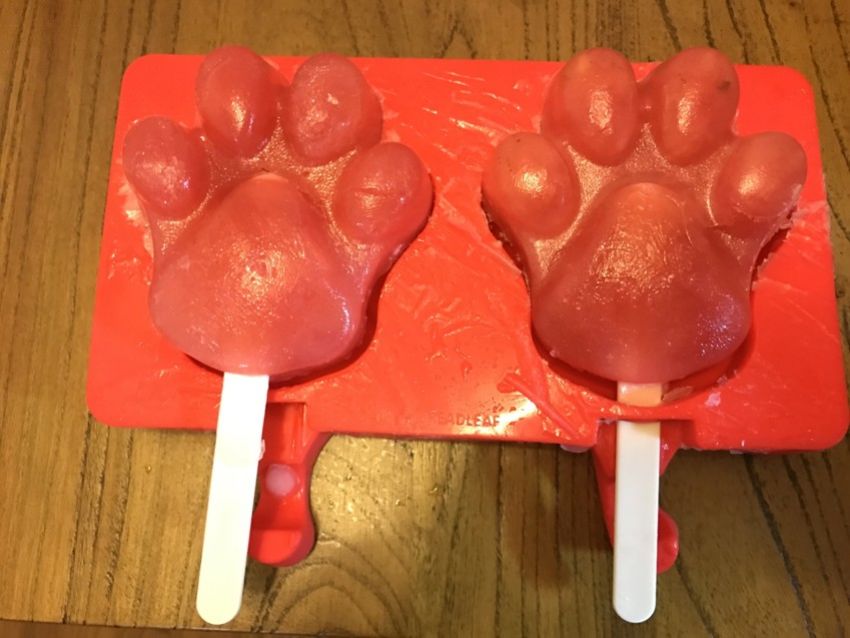 自制尼克的爪子棒冰