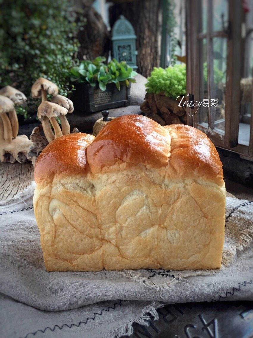 酸奶吐司(冷藏中种法)