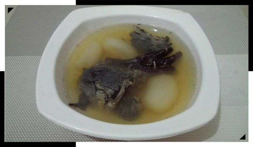 花旗參海底椰煲竹絲雞