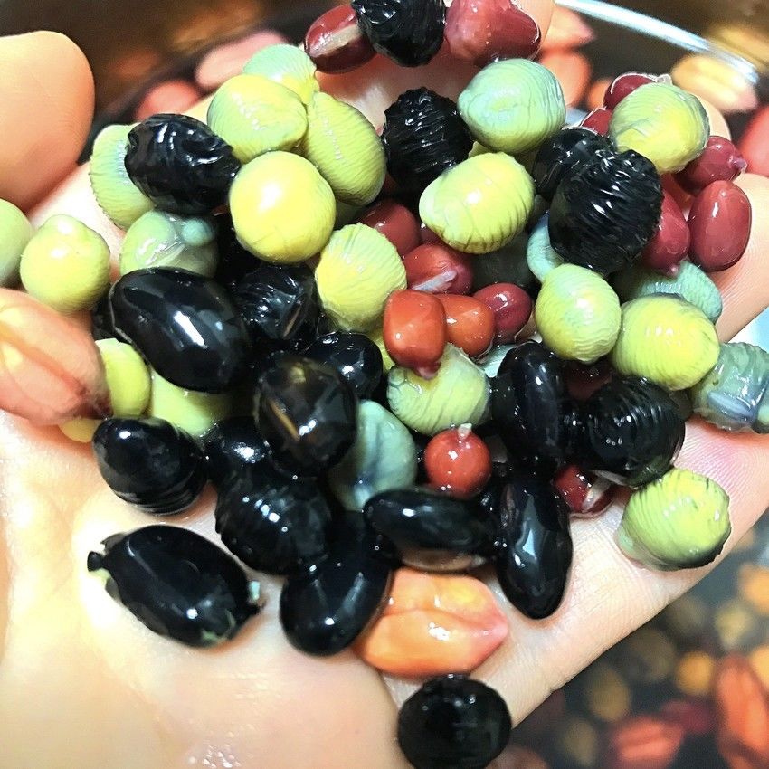 黄豆黑豆红豆红花生豆浆