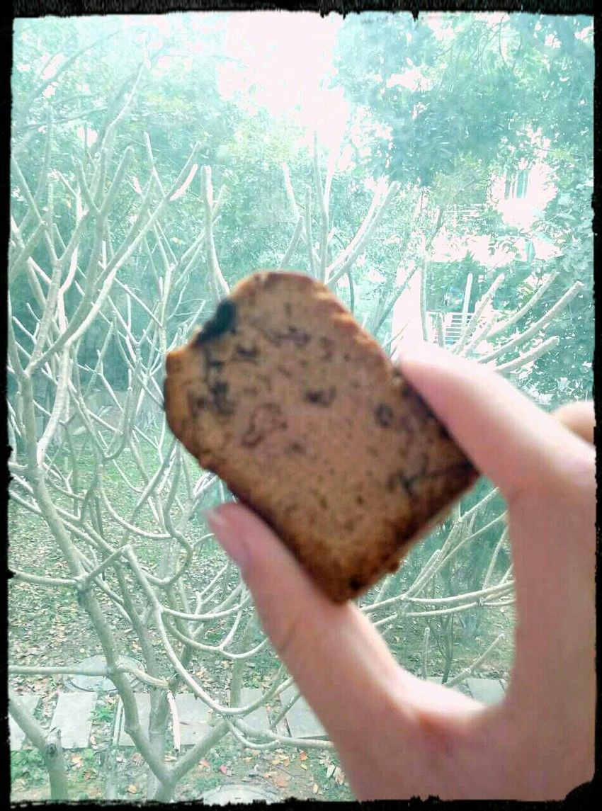 玫瑰磅蛋糕~美腻又馥郁