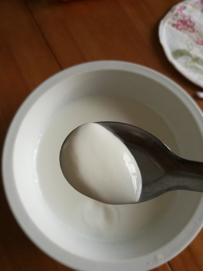 自制发酵酸奶