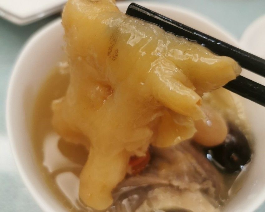 花胶炖排骨汤(炖鸡)