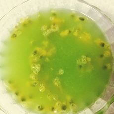 苹果百香蜜汁饮