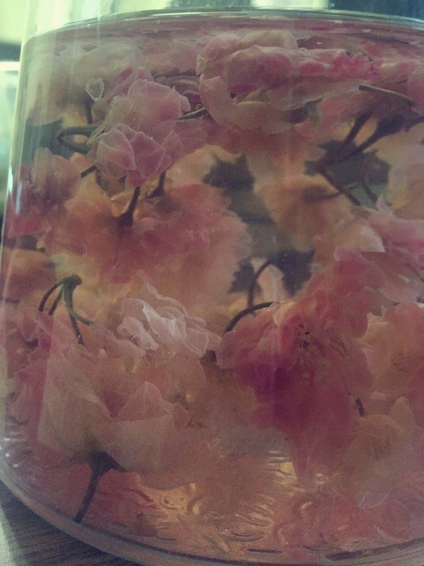 盐渍樱花🌸