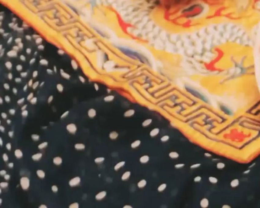 豹纹吐司_野性的呼唤