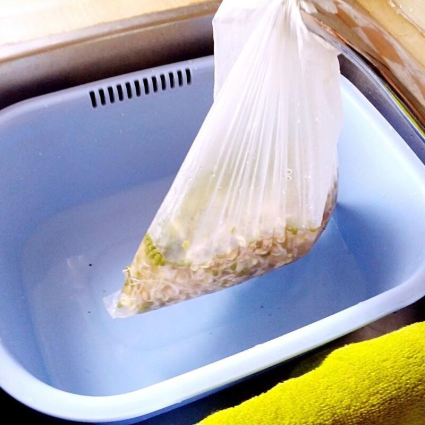 0成本傻瓜终极版自发绿豆芽