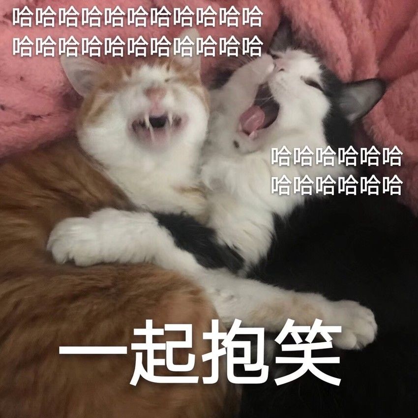 世界杯下酒小菜