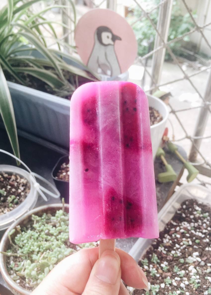 卖女孩的火龙果（夏日棒冰）