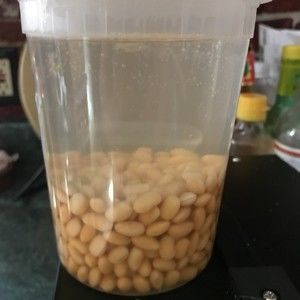 香浓豆浆（九阳豆浆机版）的做法步骤 第1步