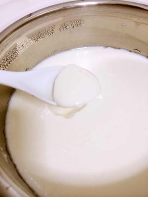 自制发酵酸奶水果杯的做法步骤 第1步