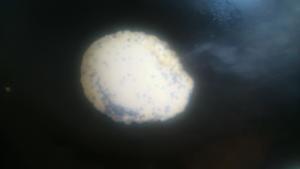 芝麻鸡蛋饼的做法步骤 第1步