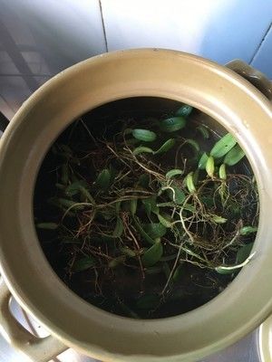 石橄榄青橄榄龙骨汤的做法步骤 第3步