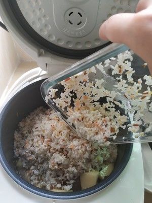 从未失手的排骨焖饭的做法步骤 第7步