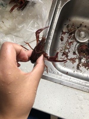 清洗小龙虾的做法步骤 第1步