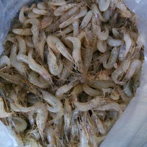 清炒野生小河虾的做法步骤 第1步