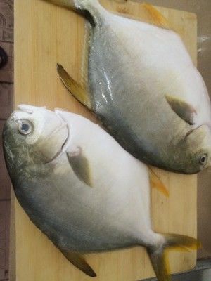 三丝蒸金鲳鱼的做法步骤 第1步