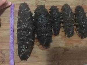 如何泡发野生海参 必须独家，耐心很重要的做法步骤 第5步