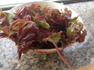 春芽豆腐的做法步骤 第2步