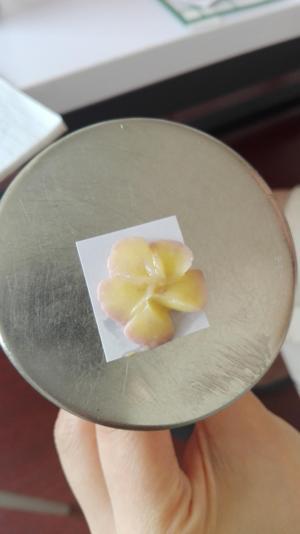 韩式裱花——五瓣花杯子蛋糕装饰的做法步骤 第4步