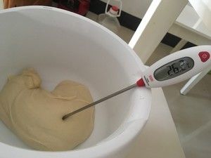 菠萝包（帅帅小厨）的做法步骤 第2步